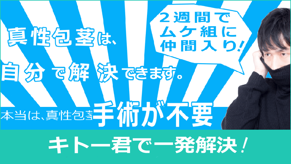 キトー君